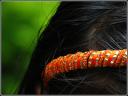 1024674375_b2011ffd18_m.jpg